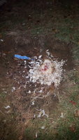 20171117_175026.jpg