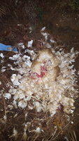 20171117_175039.jpg
