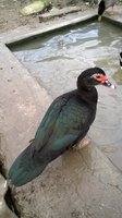 WP_20171116_045.jpg