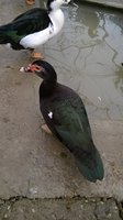 WP_20171116_039.jpg