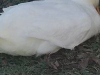 20171119_143357.jpg