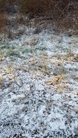 20171120_072648.jpg