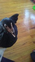 20171120_111541.jpg