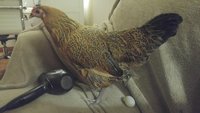 20171107_180503_HDR.jpg