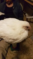 20171119_171637.jpg