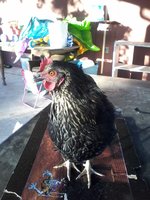 20171122_074847.jpg