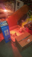 20171122_121017.jpg