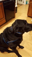 20171122_180500.jpg