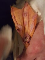 20171122_214111.jpg