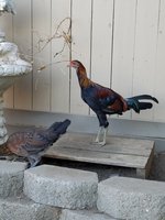 20171124_075856.jpg