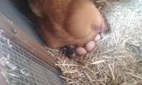 20171121_135213.jpg
