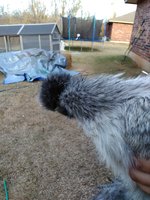 IMG_20171123_162355.jpg