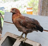 IMG_20171124_105813025~2.jpg