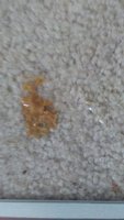 20171124_104559.jpg