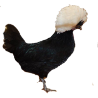 20D91BE5-62A7-402F-908D-237DFB19B432.png