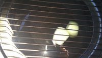 20171126_131244.jpg