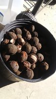 20171126_132552.jpg
