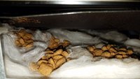 20171009_114618.jpg