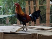 20171126_075409.jpg