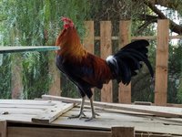 20171126_075401.jpg