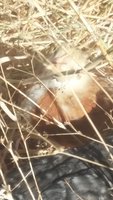 20171128_092823.jpg