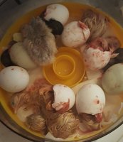 20171117_171707.jpg