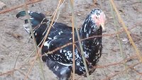 20171129_153621.jpg