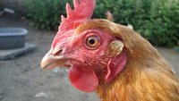IMG-20170807-WA0003.jpg