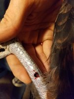 20171129_163421.jpg