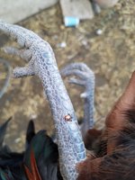 20171129_162458.jpg