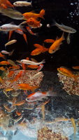 20171130_203759.jpg