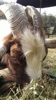20171201_103814.jpg