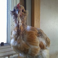 20171117_135702.jpg