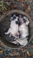 20171203_103947.jpg