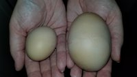 20171129_184040.jpg
