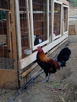 20171204_072215.jpg