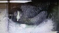 20171204_104703.jpg
