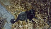 20171202_220206.jpg