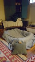 20171205_125933.jpg