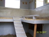 100_1061.JPG