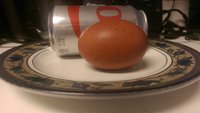 IMAG0055.jpg