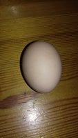 20171206_155136.jpg