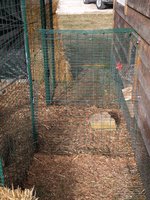 IMG_20171126_132025.jpg