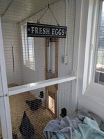 IMG_20171126_131911.jpg