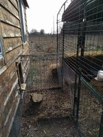 IMG_20171126_131849.jpg
