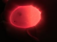 D6D051A3-35DE-4D4F-AC95-DEB811A458B7.jpeg