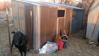 IMG_20171124_165606312.jpg
