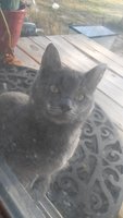 20171208_083209.jpg