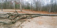 20171205_151639.jpg