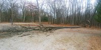 20171205_151654.jpg